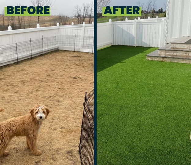 Check out this Before and after pet turf installation Wisconsin showing Teddy sad with his muddy yellowed out grass area then the after transformed into a nice groomed and clean pet turf installation.