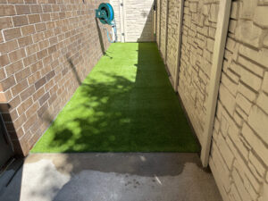 VCA Pet Clinic AFTER